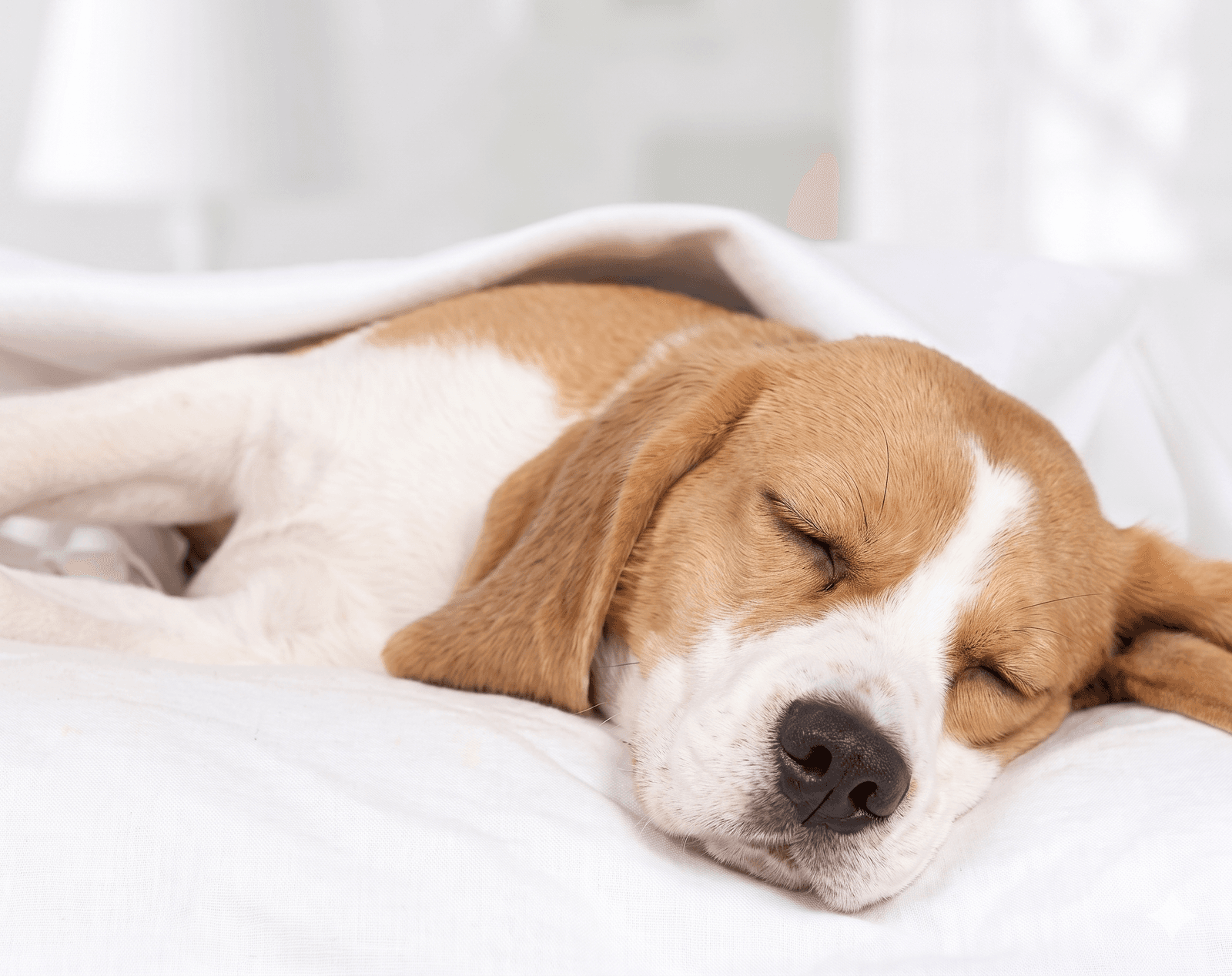 Benefits of good sleep