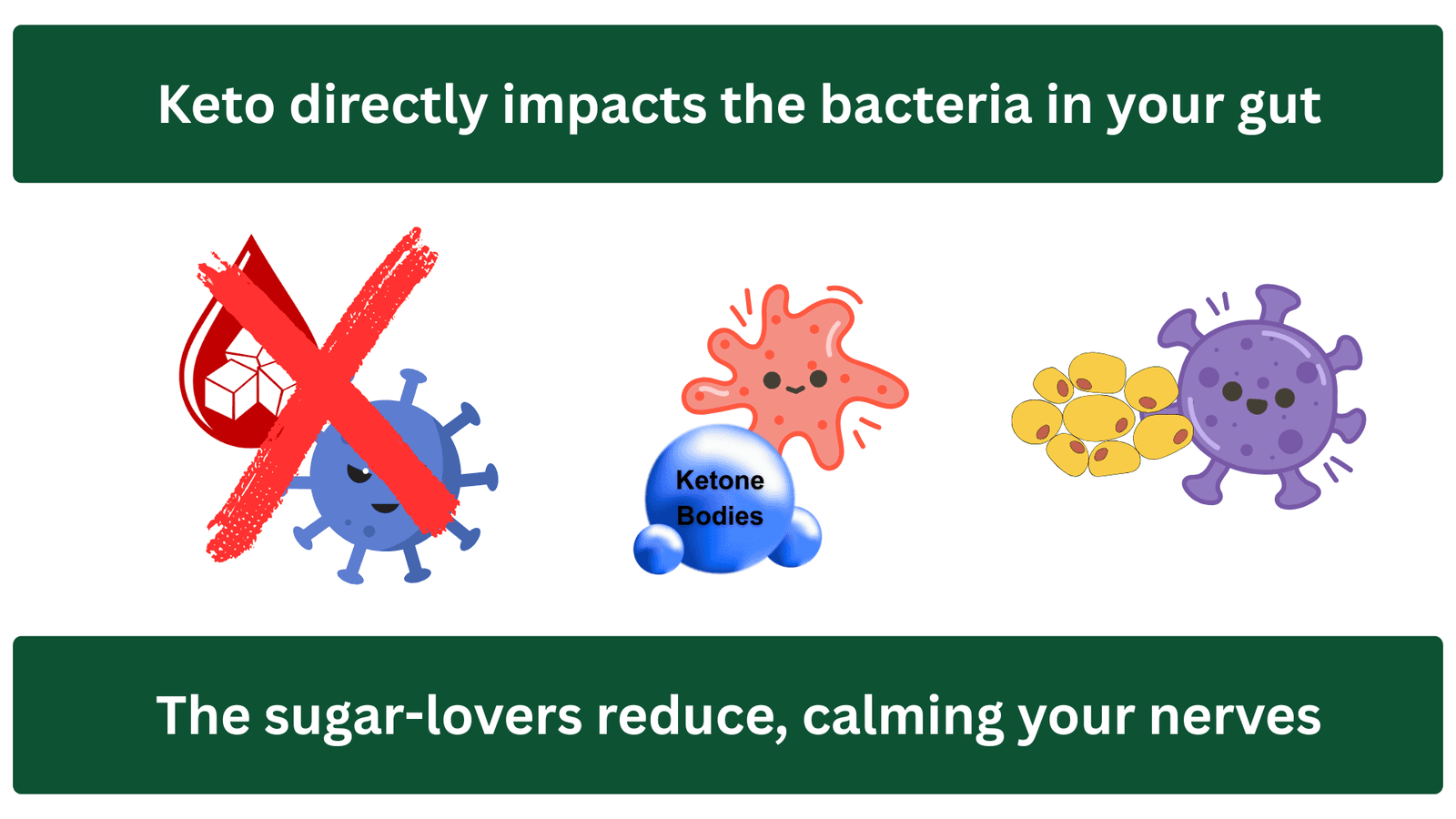 Sugar-loving microbes