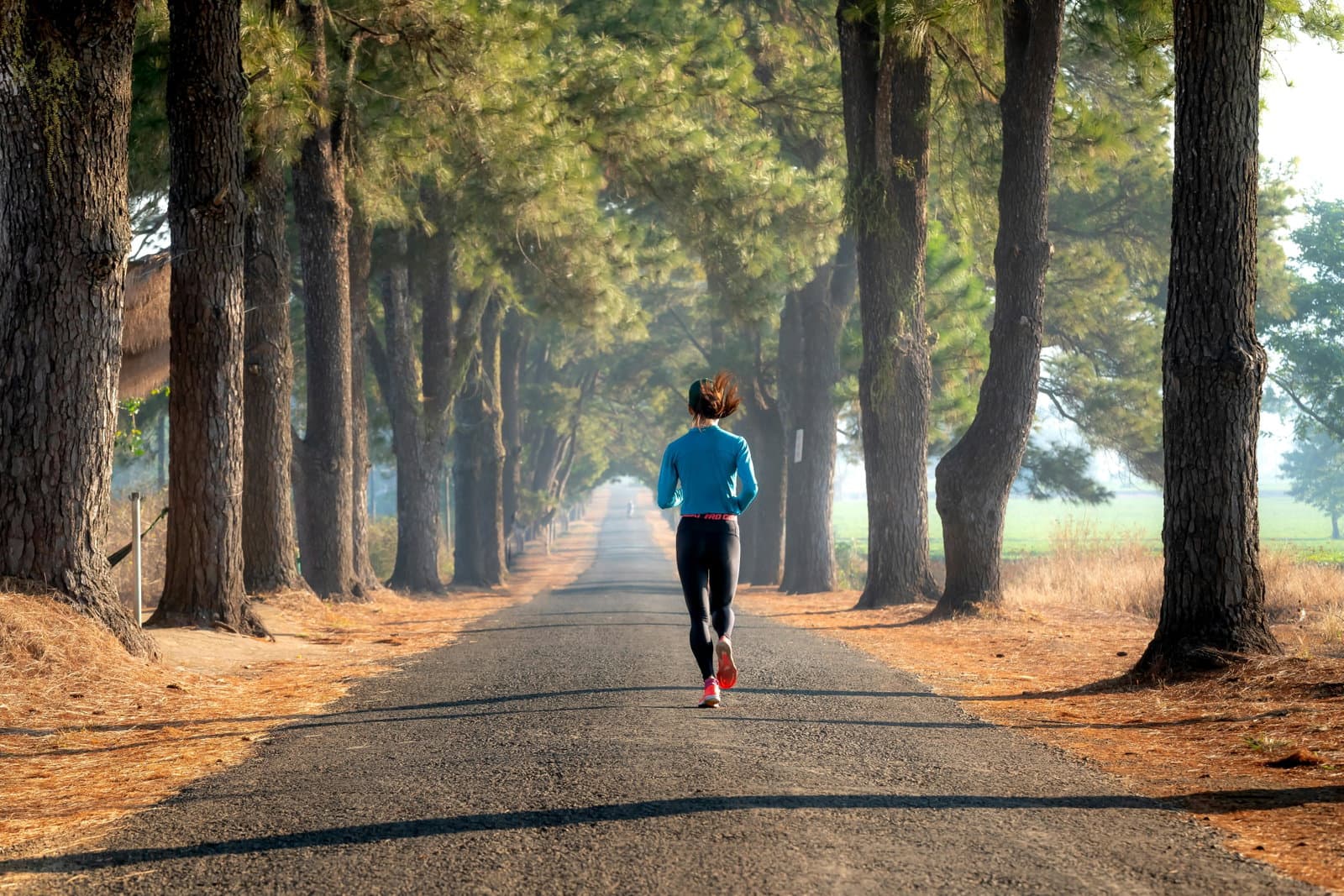 A marathon, not a sprint