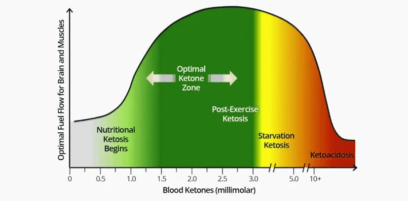 Phinney & Volek ketone zone chart showing optimal ketone levels